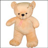 Soft Teddy -BST 9054 - Click here to View more details about this Product